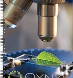 Custom Large FlexPlanner™ Organizer w/Full Color Cover (7"x10")